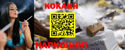 гидра Будённовск