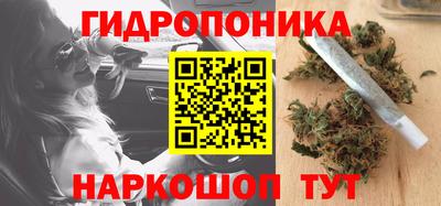 гидра Будённовск