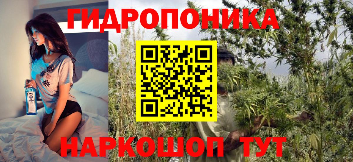 Шишки марихуана планчик  Конопля Amnesia  Вход с VPN  Кострома  Бошки марихуана AK-47 
